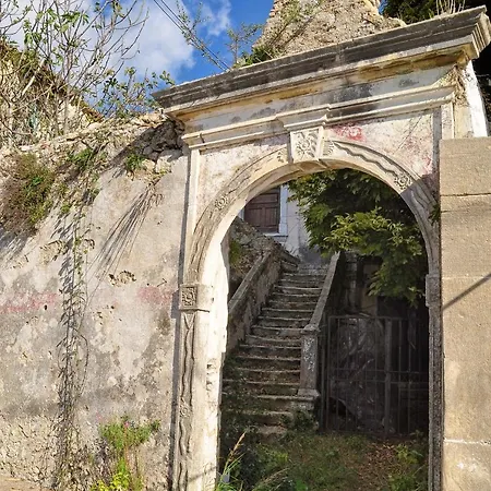 Alexandras Forest View