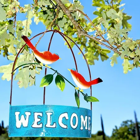 Alexandras Forest View Апартаменты *